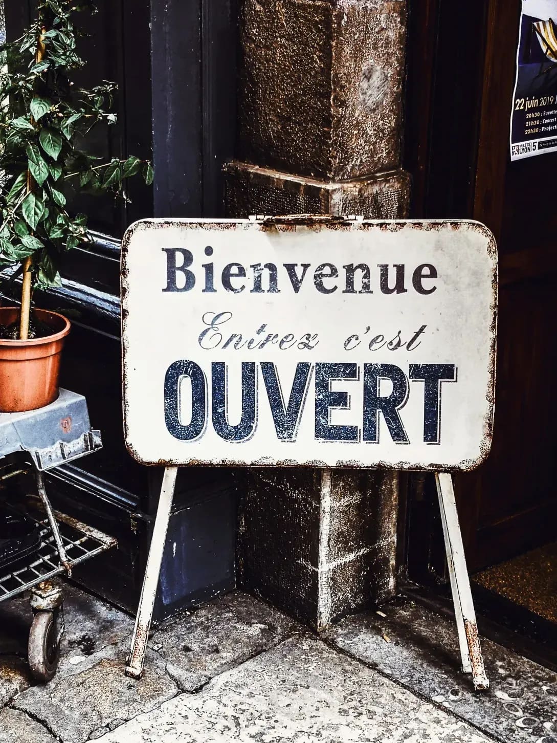 Business French training for professionals